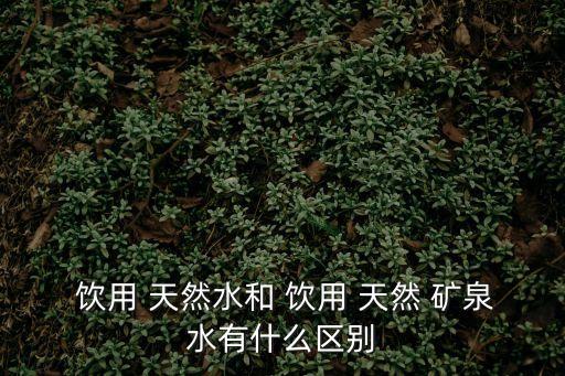  飲用 天然水和 飲用 天然 礦泉水有什么區(qū)別