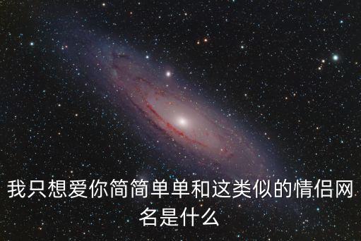 我只想愛你簡簡單單和這類似的情侶網名是什么