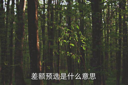 差額預(yù)選是什么意思
