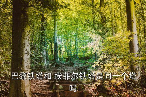 巴黎埃菲爾鐵塔,法國埃菲爾鐵塔和巴黎鐵塔是同個塔嗎?