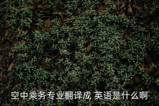 空乘英語,一文讀懂!英國和美國航空運輸業