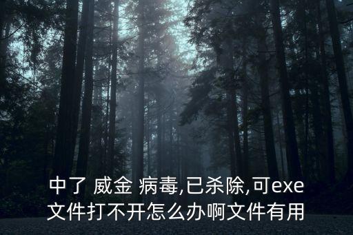 威金病毒,威金變體運(yùn)行后會(huì)自動(dòng)添加木馬下載器