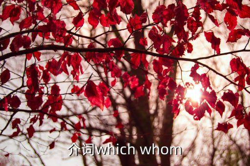 介詞加which，介詞加which可以表示什么好人有好報