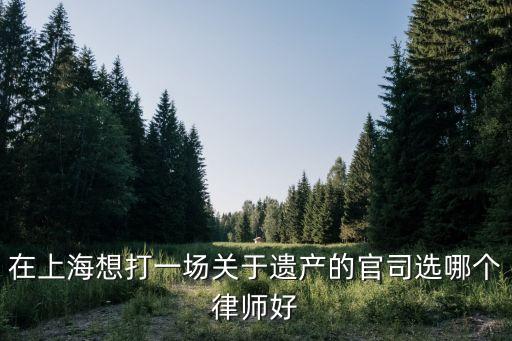 上海市靜安繼承糾紛律師咨詢，上海遺產繼承糾紛律師哪個律師比較好