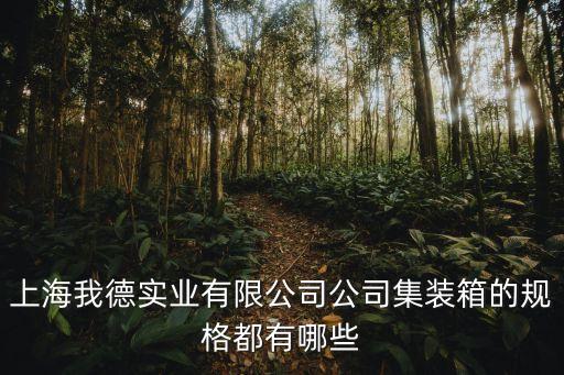 上海我德實業有限公司公司集裝箱的規格都有哪些