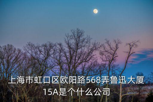 上海市虹口區歐陽路568弄魯迅大廈15A是個什么公司