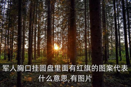 軍人胸口掛圓盤里面有紅旗的圖案代表什么意思,有圖片