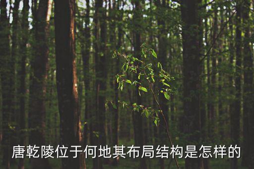 唐乾陵，唐乾陵在咸陽那個縣
