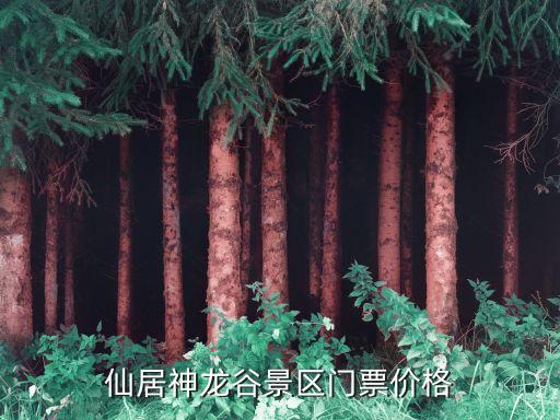 株洲神農谷,神龍峽谷景區門票80元神農山谷四季林相不同