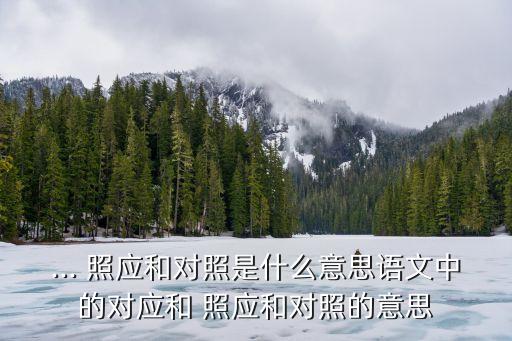 ... 照應(yīng)和對照是什么意思語文中的對應(yīng)和 照應(yīng)和對照的意思