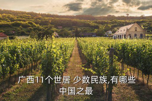 廣西少數民族,廣西是中國壯族人口最多省級行政區劃