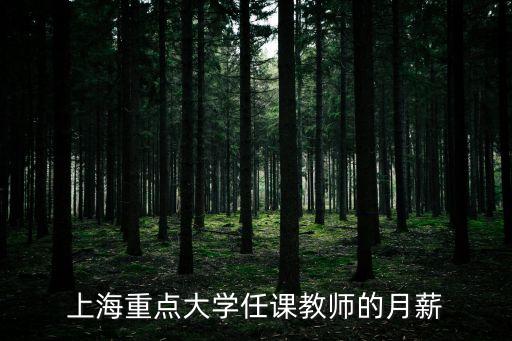 上海市立達學院教師待遇怎么樣，上海重點大學任課教師的月薪