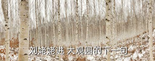  劉姥姥進(jìn) 大觀園的下一句