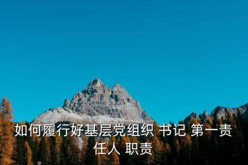 第一書(shū)記職責(zé),黨組織書(shū)記的職責(zé)分配