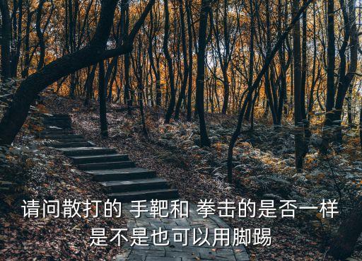 請(qǐng)問(wèn)散打的 手靶和 拳擊的是否一樣是不是也可以用腳踢
