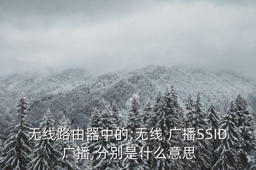 ssid廣播,若要取消隱藏wifi信號只需打開ssid廣播