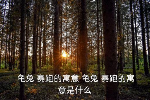 龜兔賽跑的道理,兔子:我的腿比龜的腿長得多