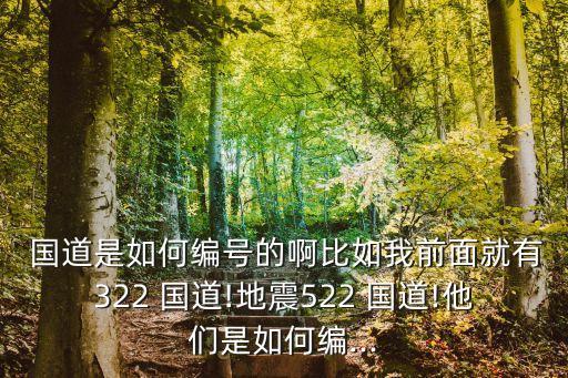  國(guó)道是如何編號(hào)的啊比如我前面就有322 國(guó)道!地震522 國(guó)道!他們是如何編...