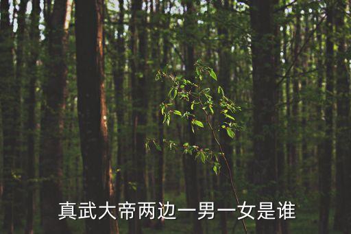 真武大帝是誰,湖北武當山是真武大帝的道場
