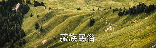 西藏習(xí)俗，藏族民俗