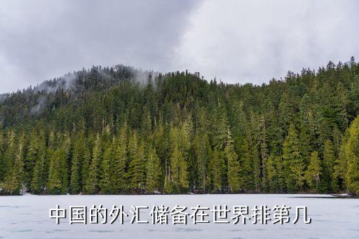 中國的外匯儲備在世界排第幾