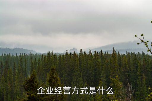企業(yè)經(jīng)營方式，企業(yè)經(jīng)營方式有哪些