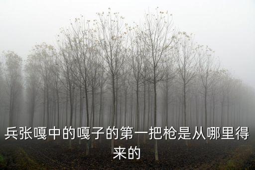 兵張嘎中的嘎子的第一把槍是從哪里得來的