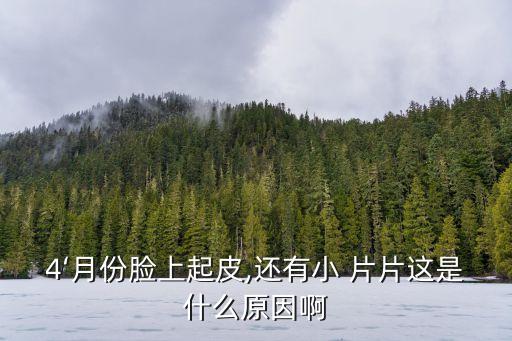 4‘月份臉上起皮,還有小 片片這是什么原因啊