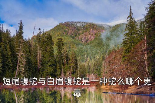 短尾蝮蛇與白眉蝮蛇是一種蛇么哪個更毒