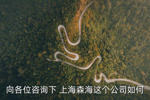 向各位咨詢下 上海森海這個(gè)公司如何