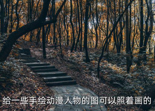 給一些手繪動(dòng)漫人物的圖可以照著畫的