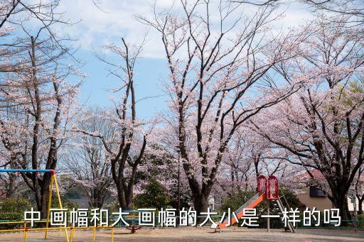 中 畫幅和大 畫幅的大小是一樣的嗎