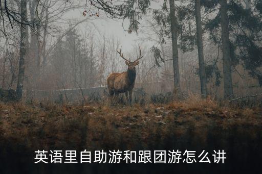 英語里自助游和跟團游怎么講