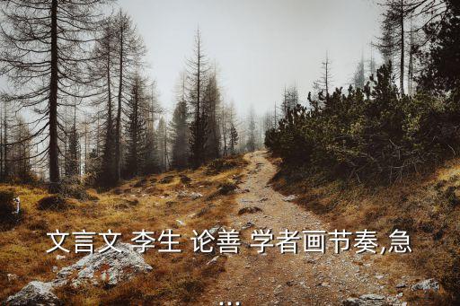 李生論善學(xué)者,學(xué)而不思則罔李生:不思考永遠(yuǎn)沒(méi)有成就