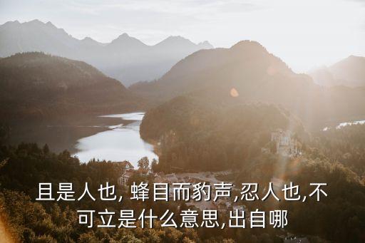 蜂目,12生肖中誰最像壞人?老鼠眼睛很小，隱忍的人受不了