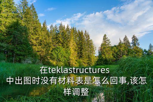 在teklastructures 中出圖時沒有材料表是怎么回事,該怎樣調整