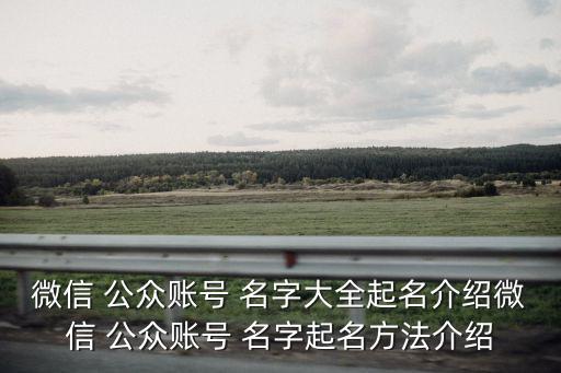 微信 公眾賬號(hào) 名字大全起名介紹微信 公眾賬號(hào) 名字起名方法介紹