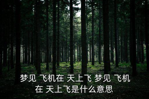 夢見飛機在天上飛,夢見-2.9級地震預示著一生吉兆