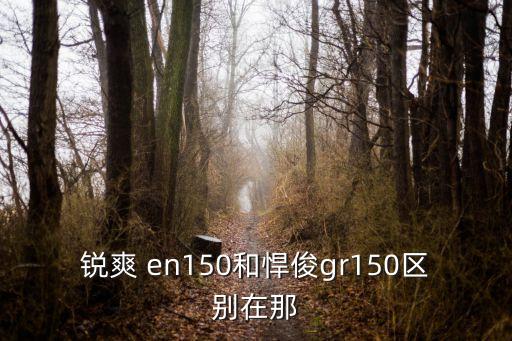 銳爽 en150和悍俊gr150區(qū)別在那
