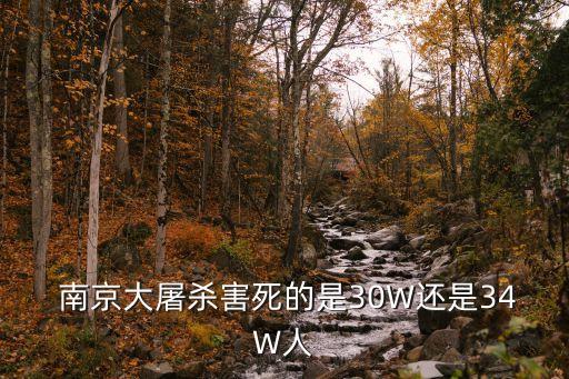  南京大屠殺害死的是30W還是34W人