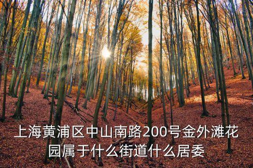 上海黃浦區中山南路200號金外灘花園屬于什么街道什么居委