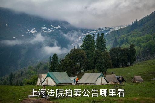 上海市金山法院公拍網，上海法院拍賣公告哪里看