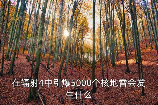 在輻射4中引爆5000個核地雷會發生什么