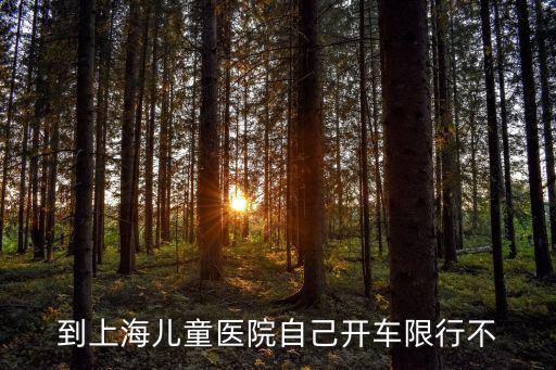 到上海兒童醫(yī)院自己開車限行不