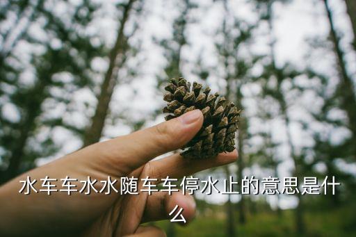 水車是什么意思,水車是名詞不是香港本地車