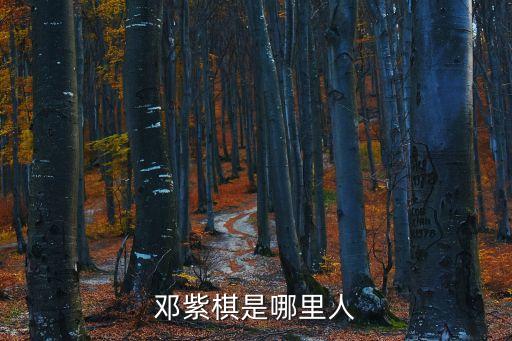 鄧紫琪,《沉睡的美人》第二集:鄧紫棋的早年經歷