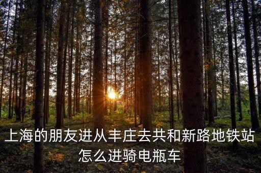 上海市共和新路看電動車，上海的朋友進(jìn)從豐莊去共和新路地鐵站怎么進(jìn)騎電瓶車