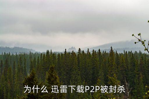 迅雷p2p,網絡不穩定或導致迅雷下載無法
