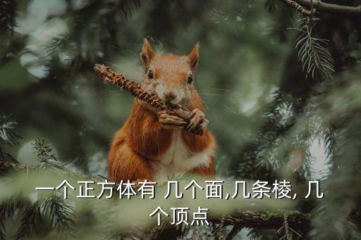 正方形有幾個(gè)面,正方體有12條邊和8個(gè)頂點(diǎn)六個(gè)面