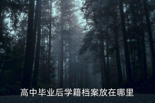 上海市高中生學籍檔案在哪里，高中生的電子檔案在哪里看